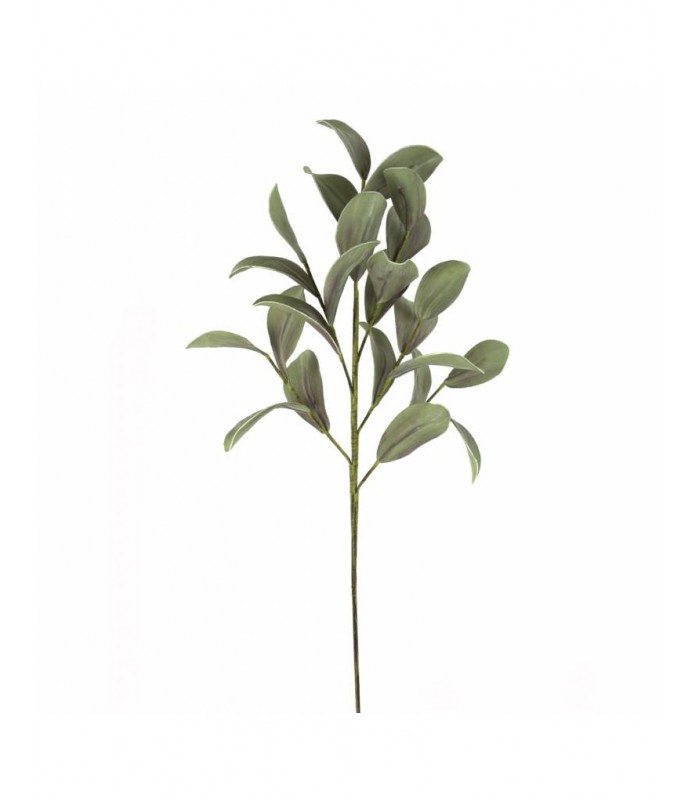 RAMA MAGNOLIA 110CM 148-2403