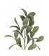 RAMA MAGNOLIA 110CM 148-2403