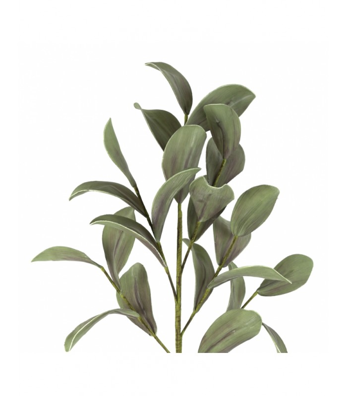 RAMA MAGNOLIA 110CM 148-2403