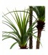 PLANTA DRACENA 80*160CM 199-2202