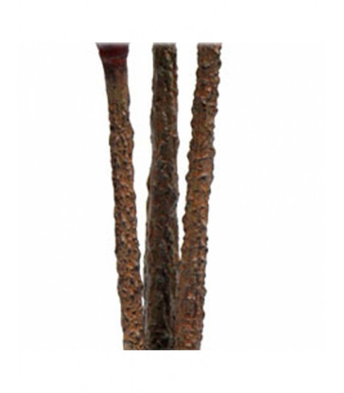 PLANTA DRACENA 80*160CM 199-2202