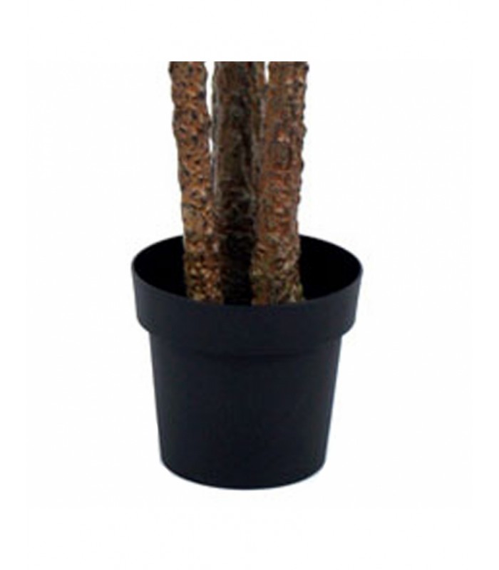 PLANTA DRACENA 80*160CM 199-2202