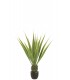 MACETA AGAVE VERDE 80*80*115CM 54361