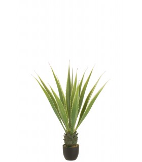 MACETA AGAVE VERDE 80*80*115CM 54361