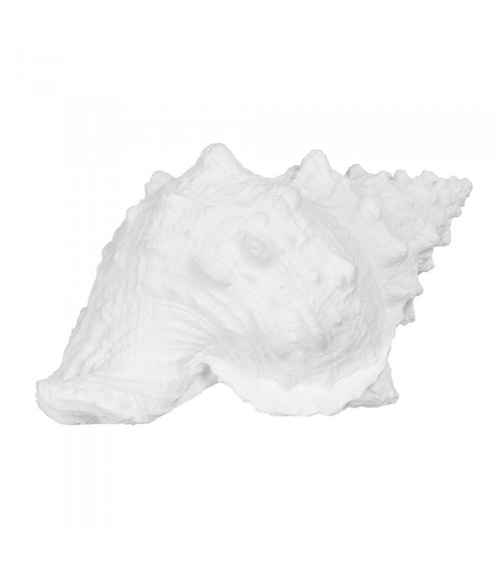 CARACOLA RESINA 21*14*12CM 611020