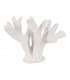 CORAL BLANCO RESINA 27*15*21CM 614007