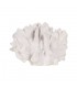 CORAL BLANCO RESINA 22.5*13*16CM 614010