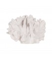 CORAL BLANCO RESINA 22.5*13*16CM 614010