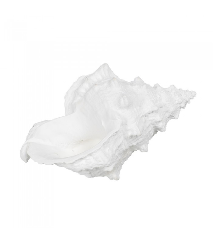 CARACOLA RESINA 21*14*12CM 611020