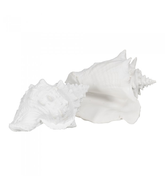 CARACOLA RESINA 21*14*12CM 611020