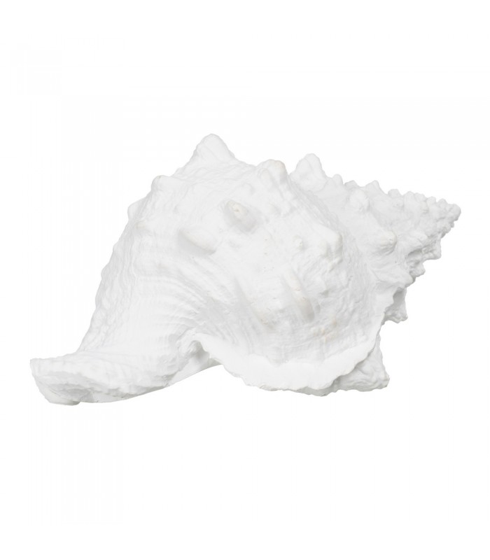 CARACOLA RESINA 21*14*12CM 611020