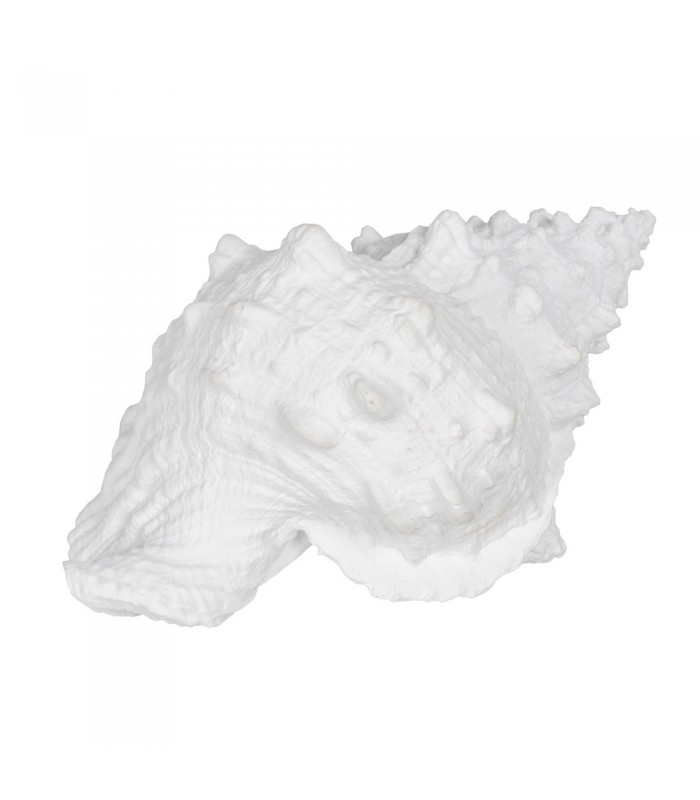 CARACOLA RESINA 21*14*12CM 611020