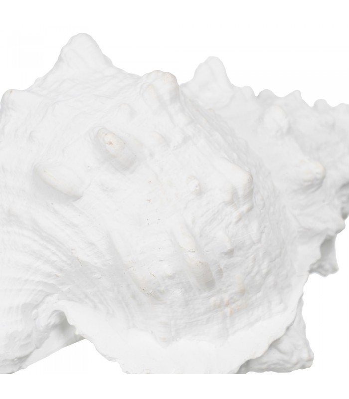 CARACOLA RESINA 21*14*12CM 611020