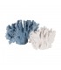 CORAL BLANCO RESINA 22.5*13*16CM 614010