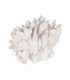 CORAL BLANCO RESINA 22.5*13*16CM 614010