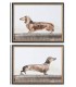 SET/2 CUADROS PERROS SALCHICHA 60*45CM CU-218488
