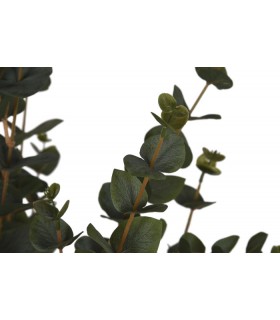 PLANTA EUCALIPTO VERDE 60*60*120CM JA-212498