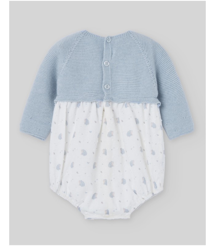 PELELE ERIZOS PAZ RODRIGUEZ 005-102906