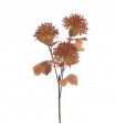 SKIMMIA JAPONICA X3 82CM 6264-41