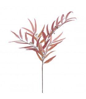 EUCALYPTUS 1.20MTS 6270-09/51