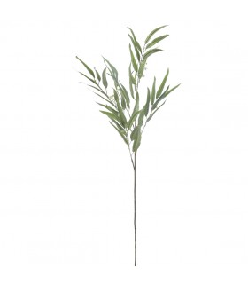 EUCALYPTUS 1.20MTS 6270-09/51