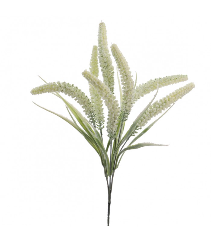 TRITICUM 45CM 6301-01/02/12