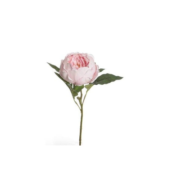 PEONIA TACTO REAL 56CM 7643