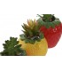 PLANTA CERAMICA 9*14CM JA-221492