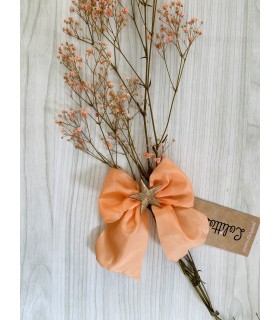 LAZO CON ESTRELLA ALICIA LOLITTOS