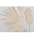 RAMA PALMERA CREMA 120CM 072-277