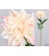 Dahlia blanco/rosa 72Cm 410-871