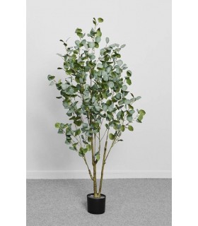 Planta Arbol Eucalipto 150Cm 694-018