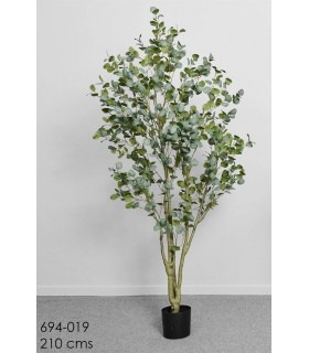 Planta Arbol Eucalipto 210Cm 694-019