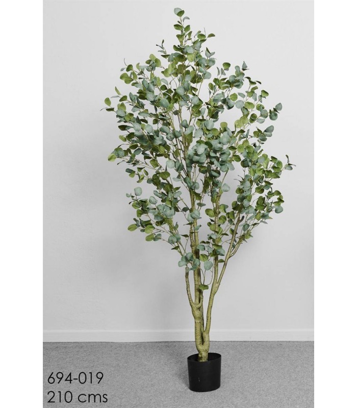 Planta Arbol Eucalipto 210Cm 694-019