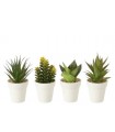 Planta con Macetero 12*12*17.5 Cm 54910