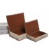 Set/2 Cajas Libro 21*7*30 Cm CG-222530