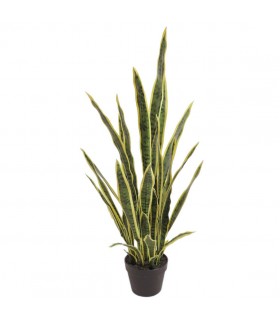 PLANTA SANSEVIERA 105CMS 7080-09