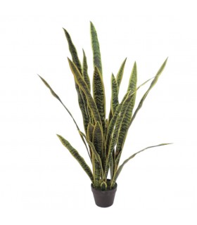 PLANTA SANSEVIERA 125CMS 7081-09