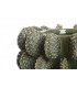 JARRON CERAMICA 24*24*17 CACTUS JR-222689