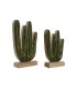 SET/2 CACTUS MADERA MANGO DH-222139
