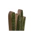 SET/2 CACTUS MADERA MANGO DH-222139