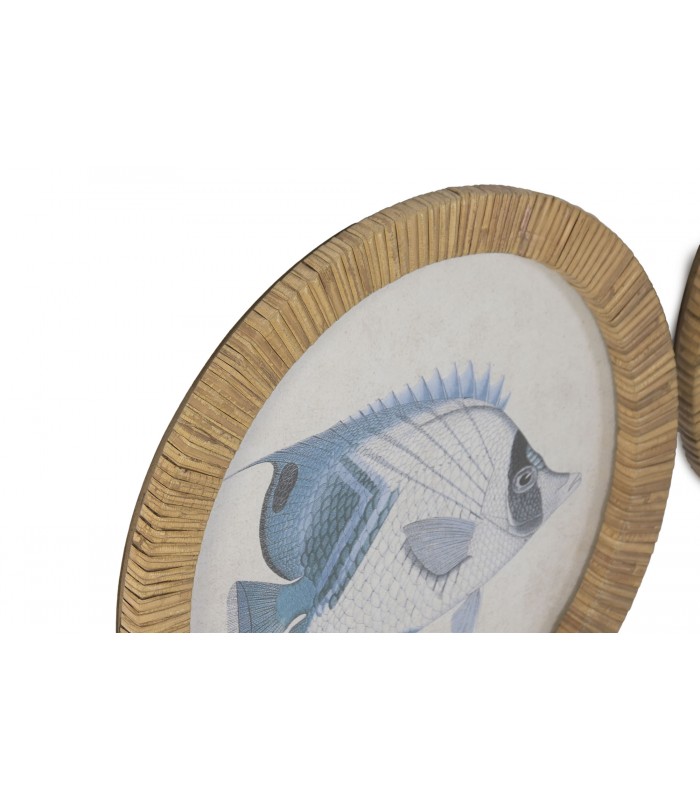 SET/4 CUADROS CRISTAL/RATAN PEZ Ø30CM CU-224326