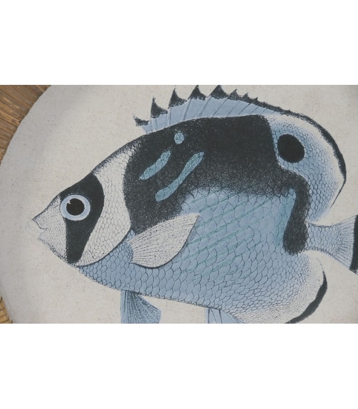 SET/4 CUADROS CRISTAL/RATAN PEZ Ø30CM CU-224326