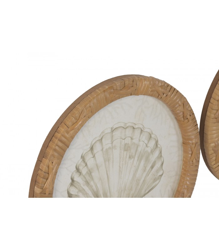 SET/4 CRISTAL/RATAN CONCHA Ø25CM CU-224325