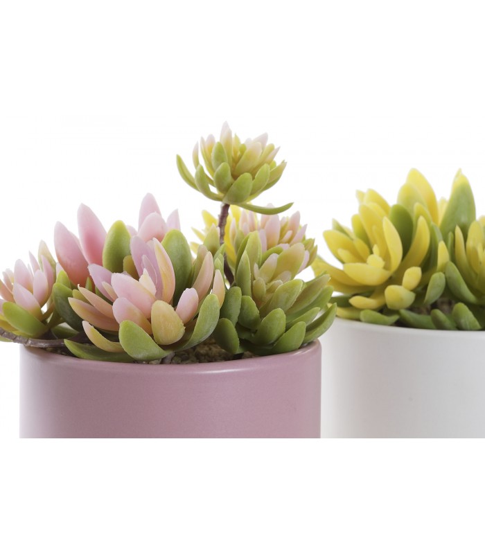 PLANTA PE GRES 15*12*13CM JA-193570