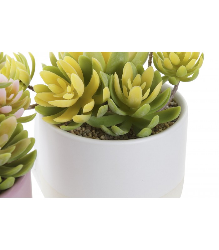 PLANTA PE GRES 15*12*13CM JA-193570