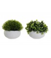 PLANTA CEMENTO 13*12CM JA188682