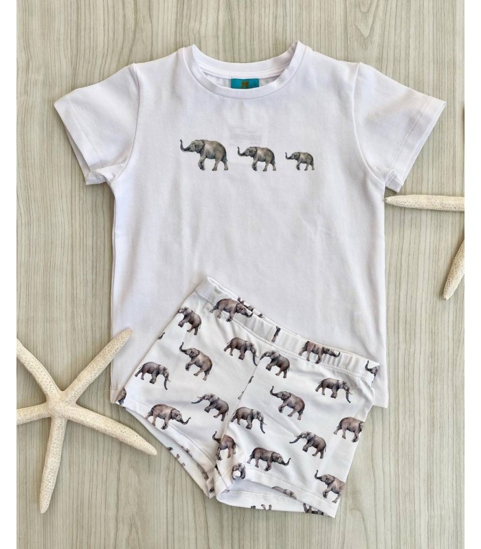 CONJ.CAMISETA+BOXER LICRA 6242/4