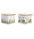 SALERO 12.5*12.5CM TROPIC PC-192930