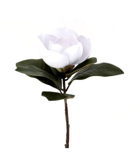 MAGNOLIA BLANCA 165-0051